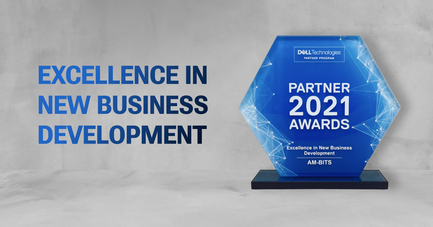 Excellence in New Business Development (2021р)